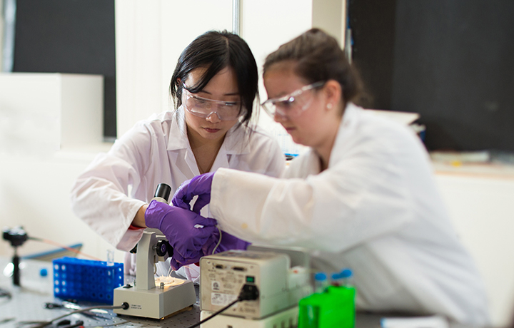 graduate students working at microscope