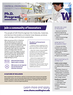 PhD program flyer preview