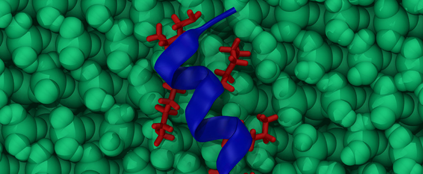 helical peptide on quartz