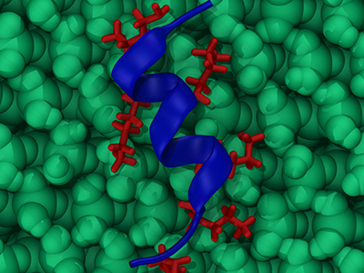 helical peptide on quartz