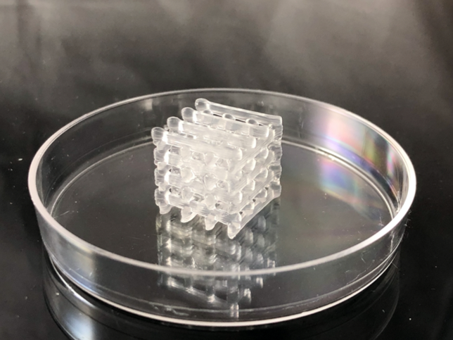 3d printed hydrogel lattice