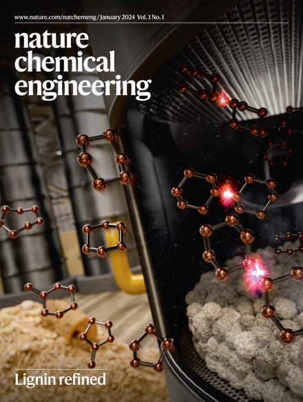Nature Chemical Engineering Volume 1 Cover