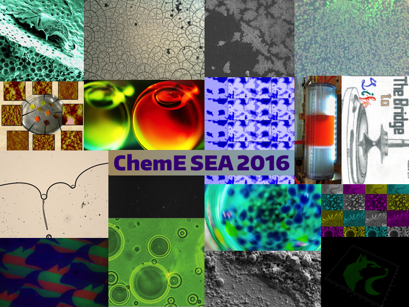 Slideshow: ChemE Science & Engineering as Art