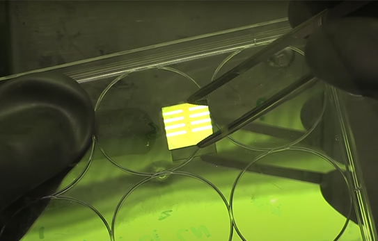 perovskite solar cell in the lab