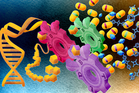 illustration: modifying microbe genomes to upcycle co2