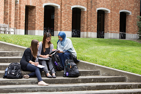 three students studying together outside on the UW campus