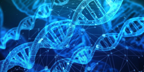 A rendered image of DNA strands
