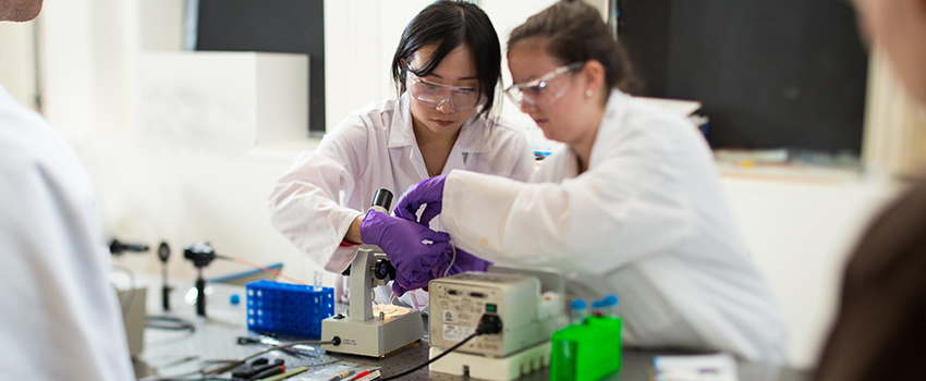 students working at microscope