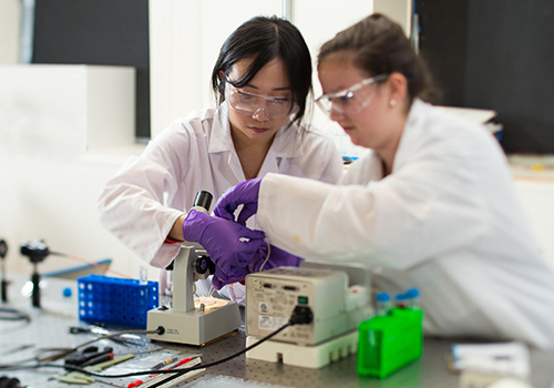 students working at microscope