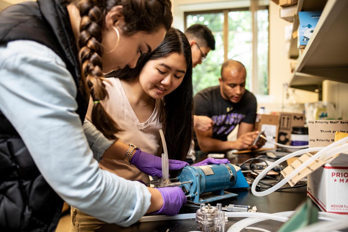 electrosolar oxygen team works in the lab