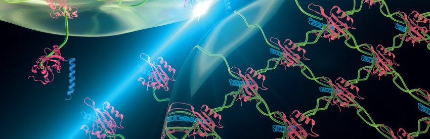 "biomaterials illustration"