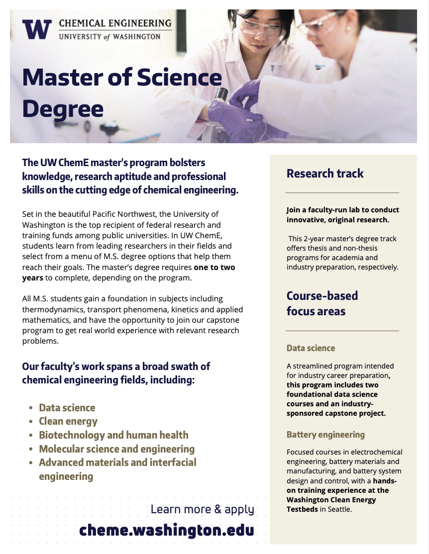 masters program flyer preview