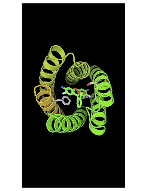 A scientific illustration of NovoTags shows connected spirals surrounding a visualization of a molecule, which is made up of connected hexagons.