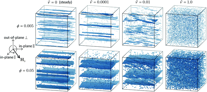 Simulations of paramagnetic particles