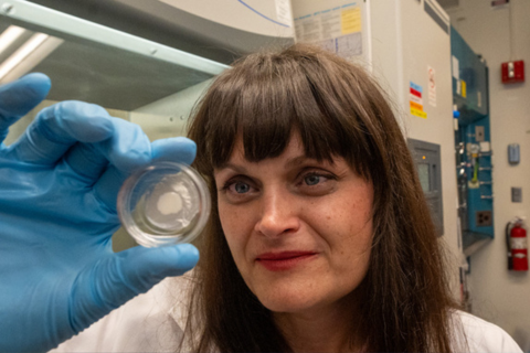 Kristin Bennett in the lab