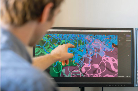 Researcher pointing at visual data on a computer screen
