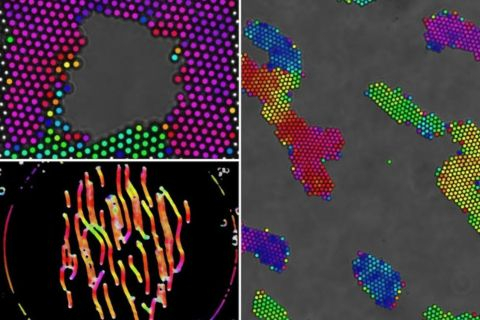 Renderings of micron-scale magnetic colloidal particles