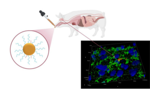 Newborn brain injury treatment