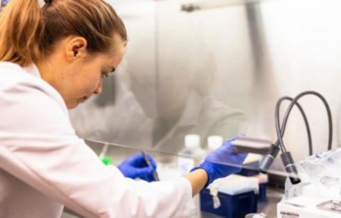 ChemE undergraduate student Sofia Dahlgren working in the lab